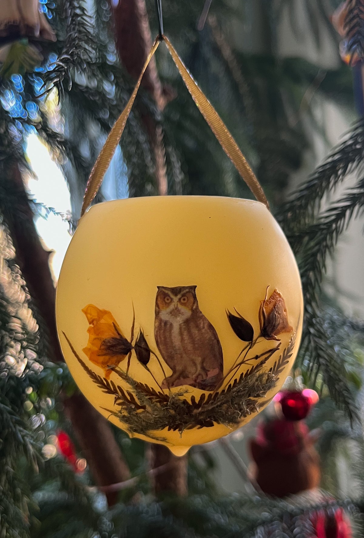 Great Horned Owl, Partridge Pea, Fern sp., Lichen sp. (Ornament)
