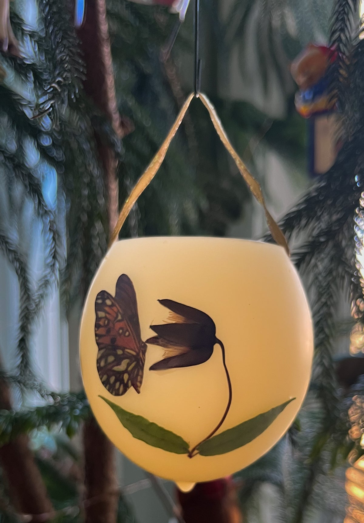 Gulf Fritillary Butterfly, White Leaf Leather Flower, Crossvine (Ornament)