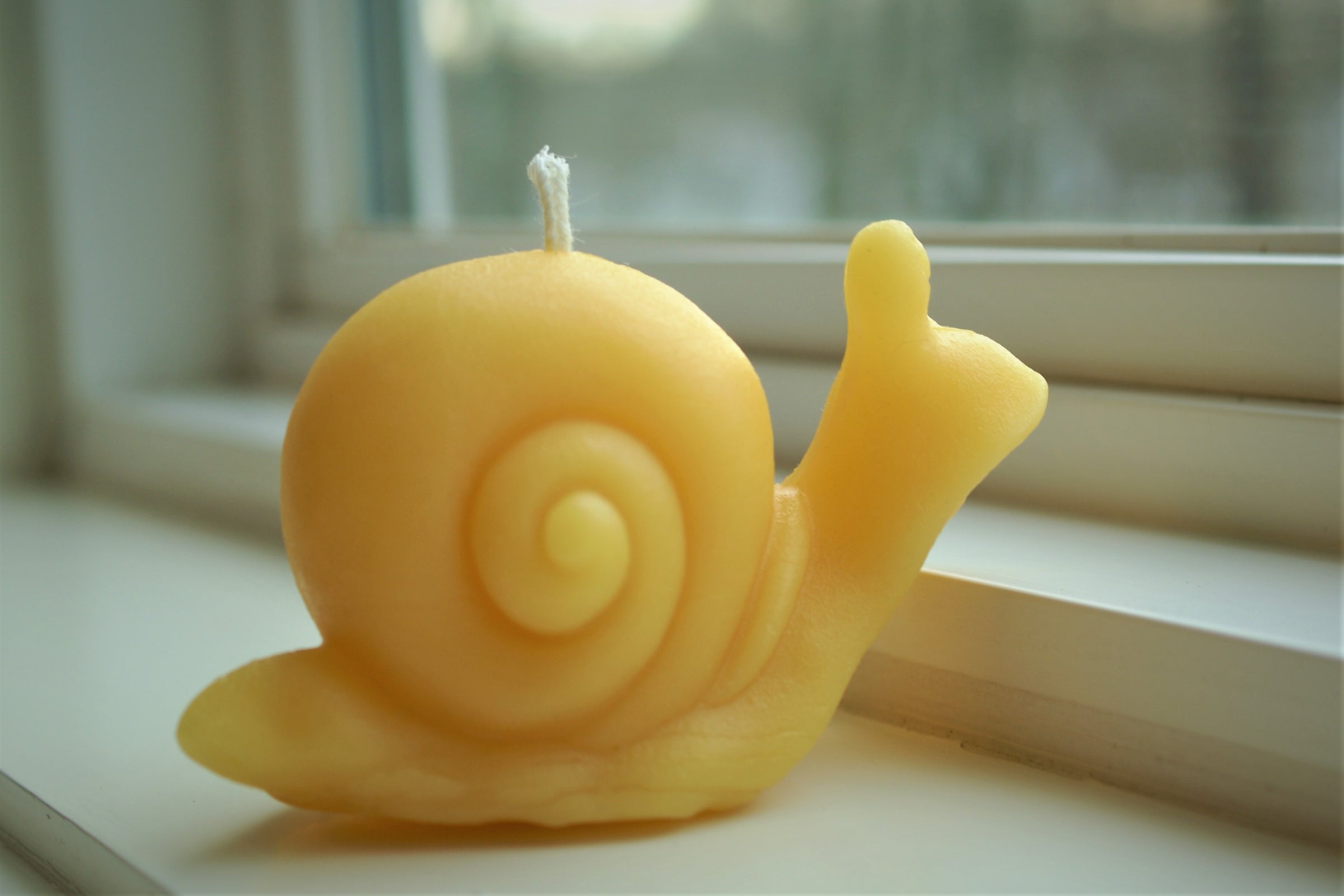 Little Bubbles Round Beeswax Candle (Asst. Colors) - Rare Hawaiian