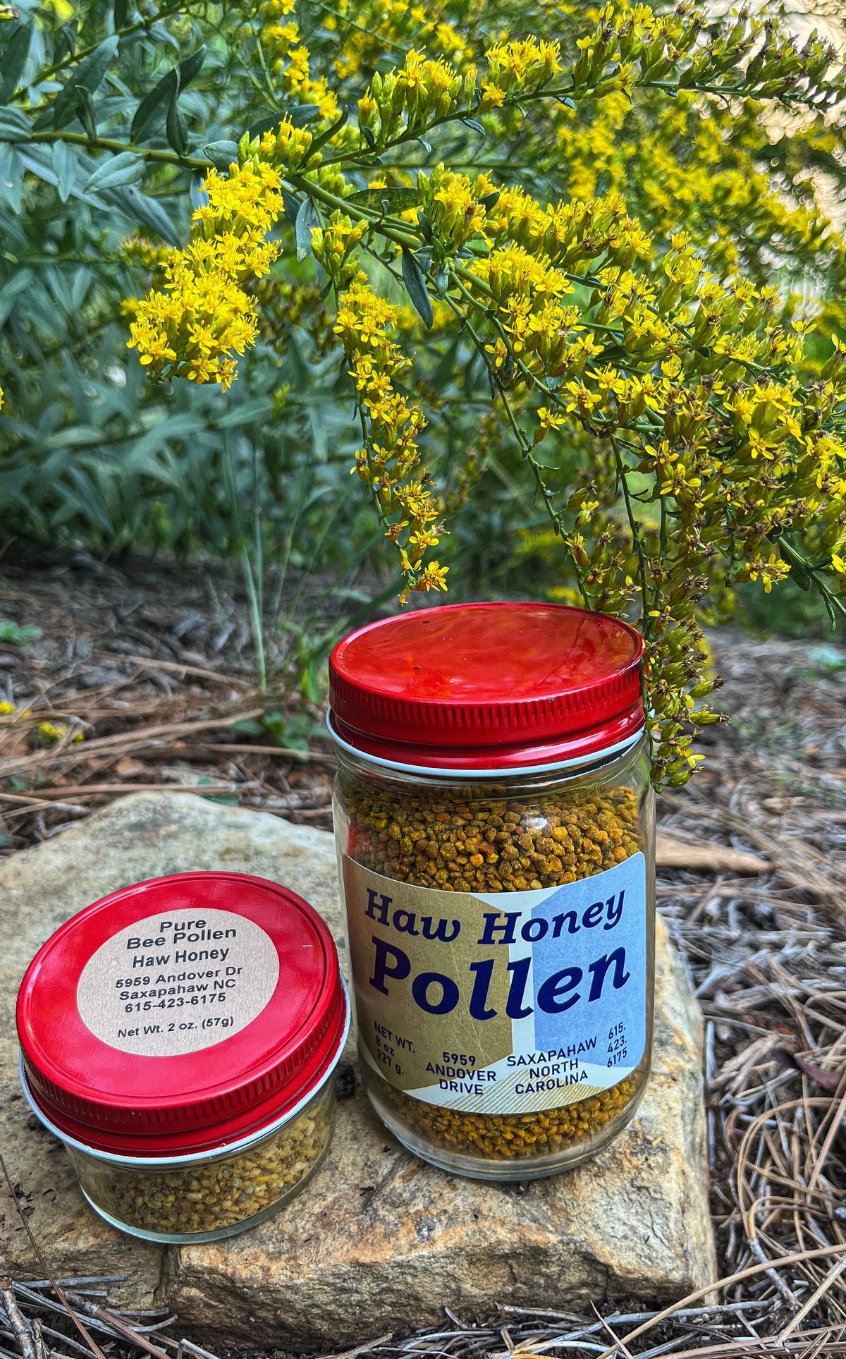 Spring 2023 Wildflower Pollen